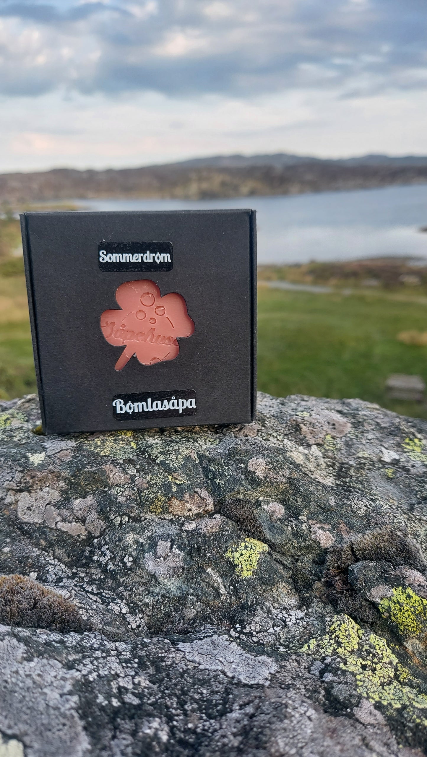 Sommerdrøm